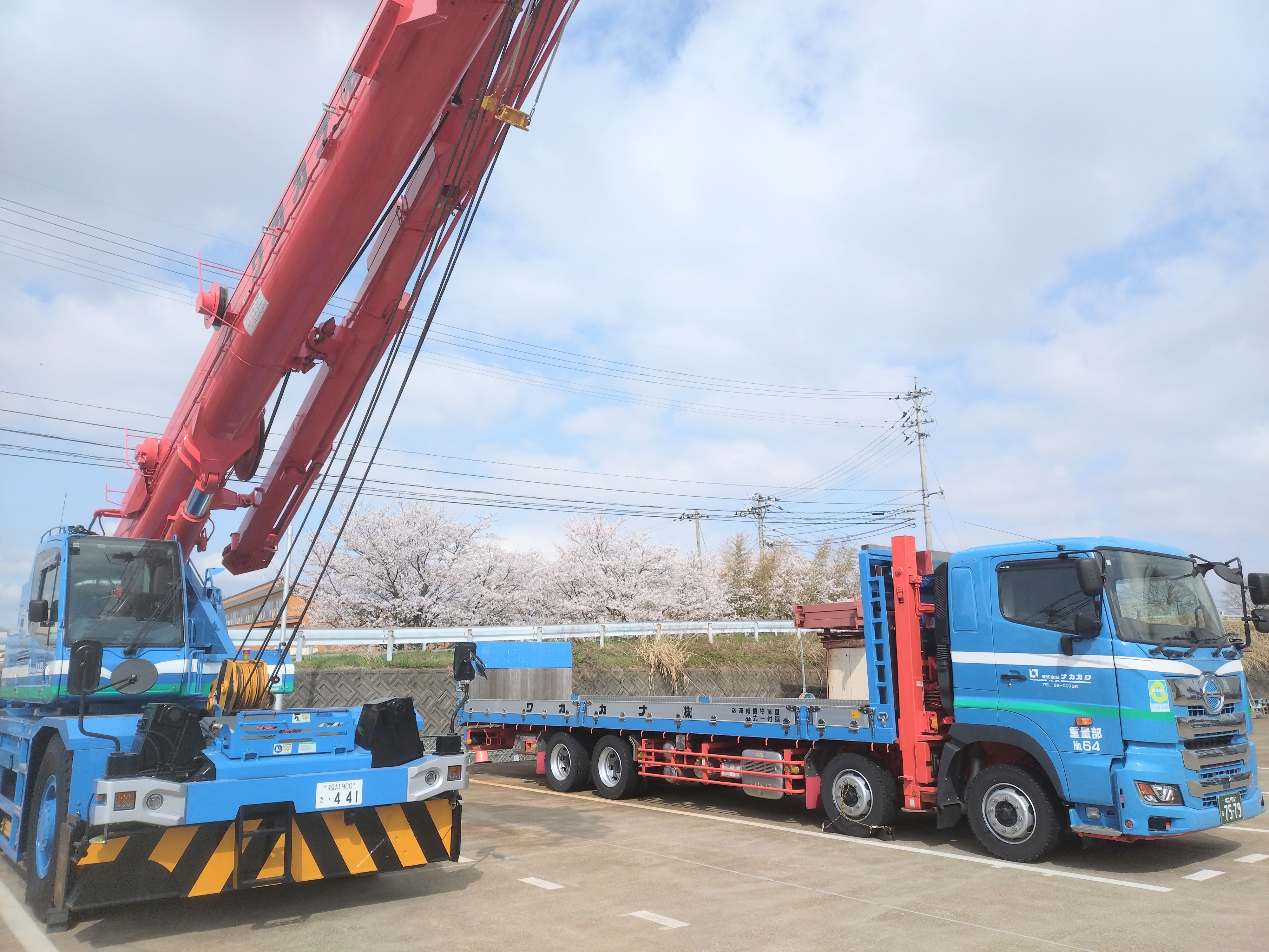 会社周辺の桜が満開